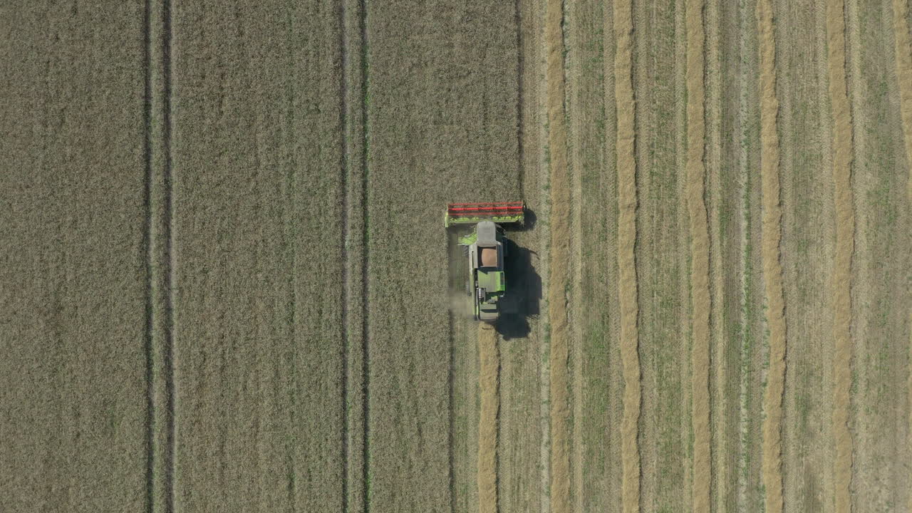 Vista aerea a volo d'uccello sopra una mietitrebbia su un campo di mais con schema simmetrico