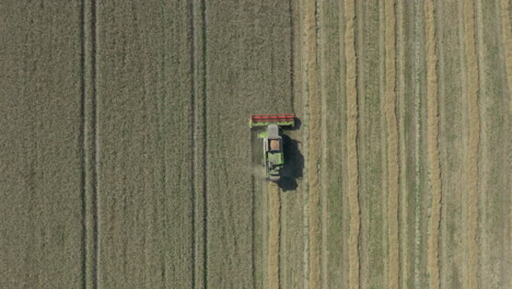 aerial bird's eye view above a combine harvester on symmetric pattern cornfield