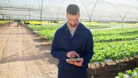 farmer using tablet in greenhouse