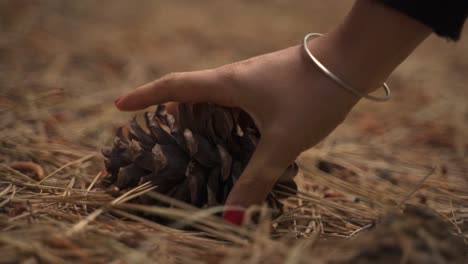 closeup of female hand picking a pinecone from the brown floor slow motion 60fps