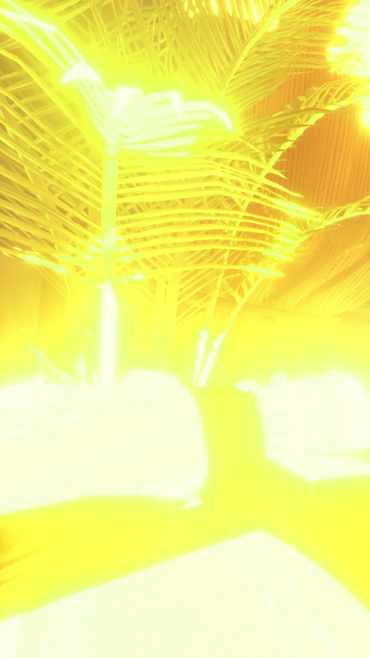 Bright light shines on palm leaves in a tropical setting during the day