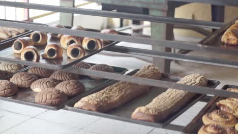 close-up of multiple trays filled with assorted baked pastries cooling on racks inside a bakery