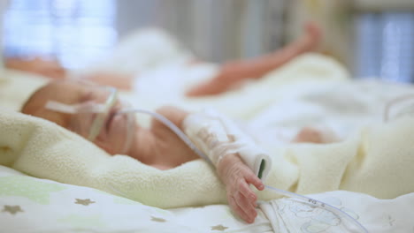 premature twins in hospital