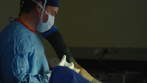 cirujano operando a un caballo en la sala de operaciones. 4k