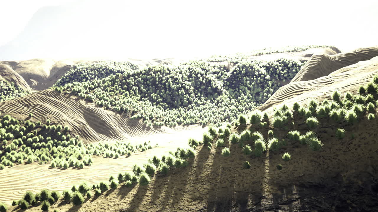 Majestic rolling hills bathed in sunlight showcase natures tranquility