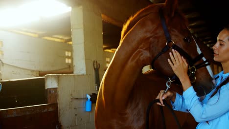 médico veterinario acariciando a un caballo 4k