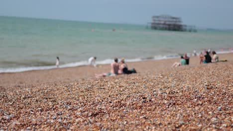 people enjoying a sunny day at the beach