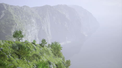 Mist covered cliffs overlook a calm body of water with green vegetation
