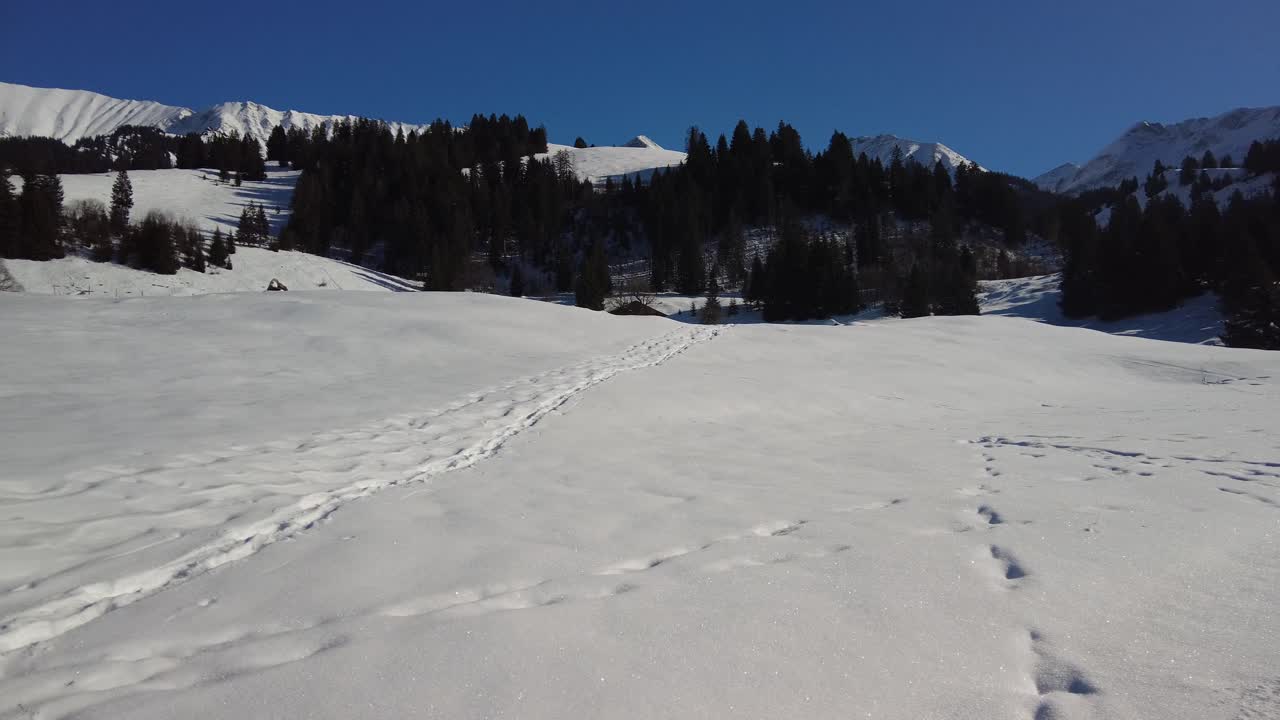 Snow hiking trails in the Swiss Alps on a sunny day with blue sky