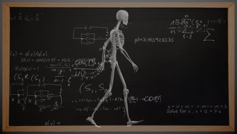 Animation-Mathematischer-Gleichungen-über-Dem-Skelett