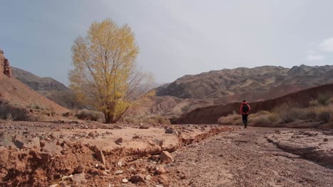 Small-Creek-Canyon-with-Red-Cliffs-named-Konorcheck-Canyon