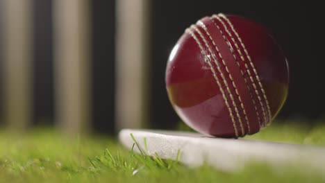 cricket still life with close up of ball on bat lying in grass in front of stumps 1