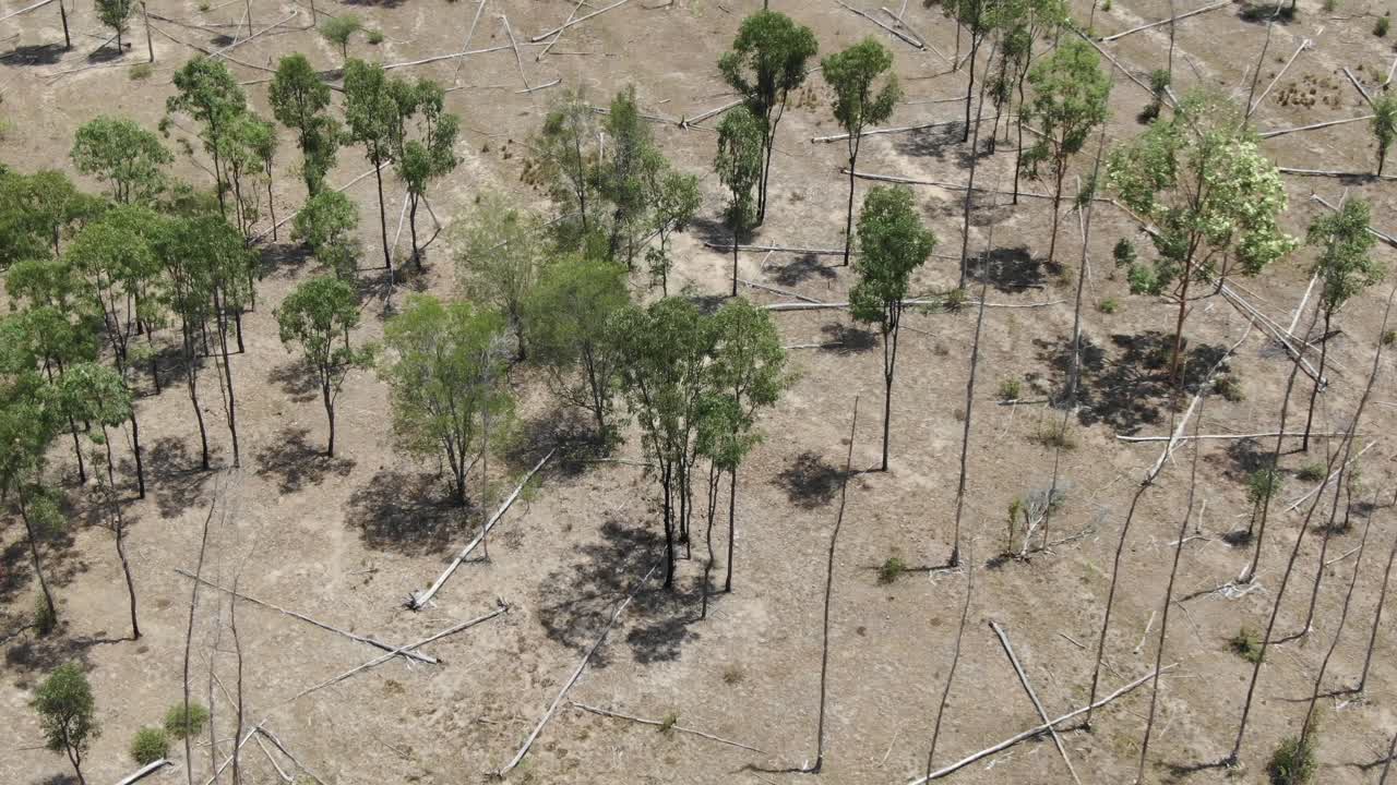 Deforestation in Queensland, Australia. Aerial top down view