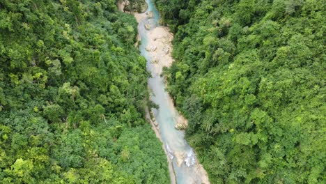 creek water flowing through gorge of lush green jungle, cebu