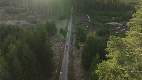 Silueta-De-Un-Viajero-Con-Una-Mochila-Caminando-Por-La-Naturaleza-Del-Bosque-Por-La-Noche-En-Un-Día-De-Primavera