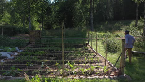 Woman-tending-to-her-homegrown-vegetable-patch-in-remote-woods