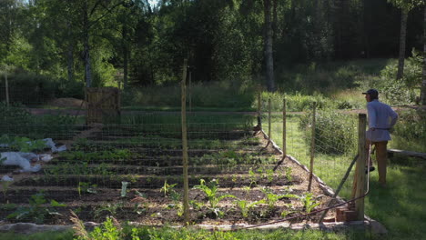 mujer que cuida su huerto de verduras en un bosque remoto