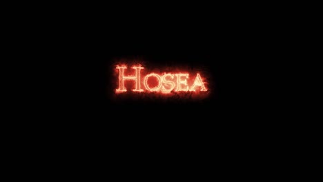 hosea written with fire. loop