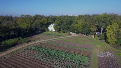 aerial: fly over and tilt down of a farm in austin, texas with the austin skyline peaking over the tree line