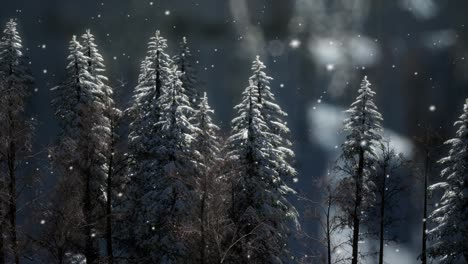 misty fog in pine forest on mountain slopes