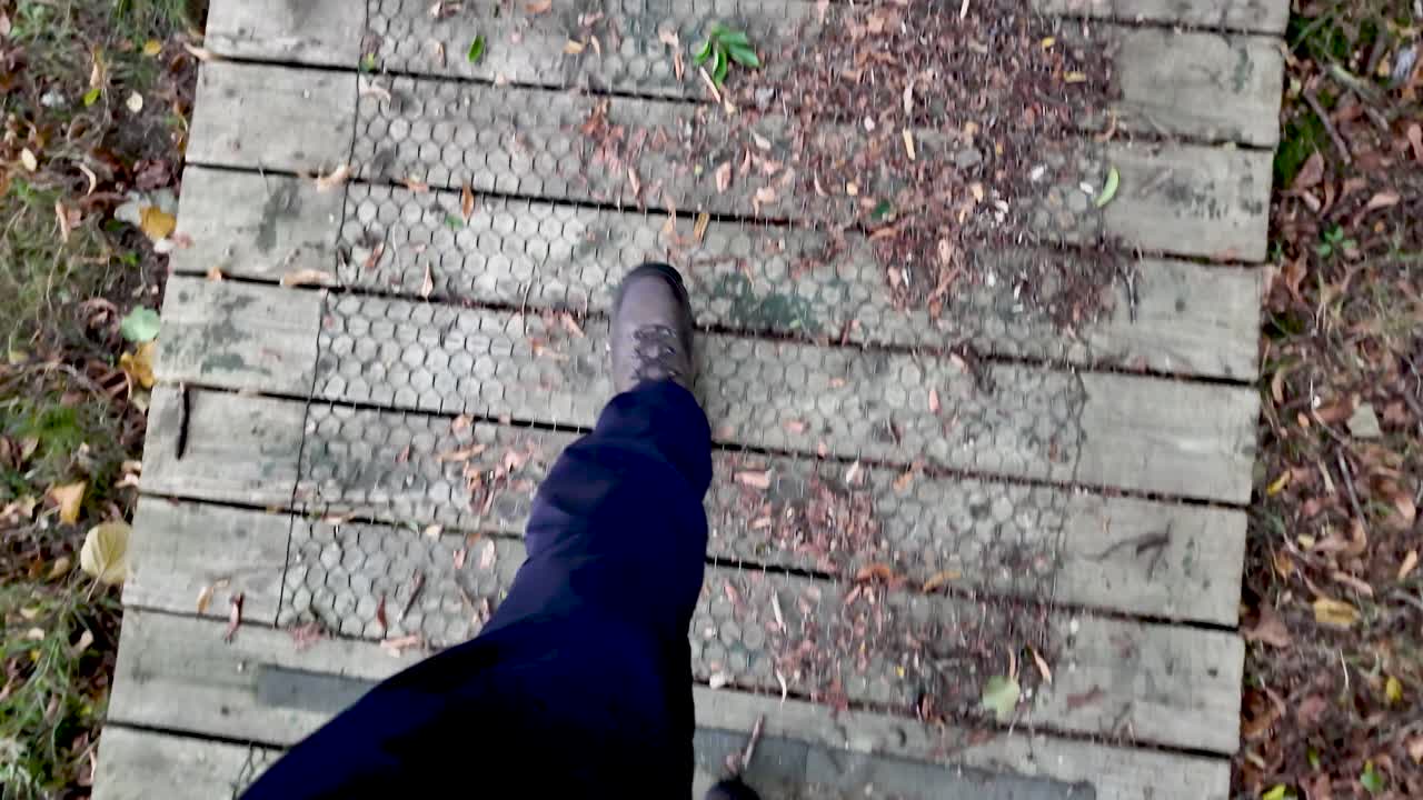 Person is walking on a wooded path covered with autumn leaves in Tynwald National Park