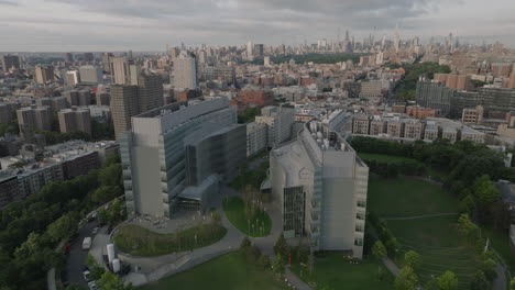 shot on a summer morning in harlem