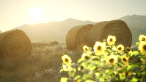 hay-bales-in-the-sunset