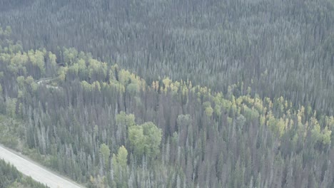 dolly-roll-aerial-over-mountain-valley-highway-freeway-road-with-sparce-vehicle-traffic-surrounded-by-lush-green-forest-foliage-to-a-fall-winter-horizon