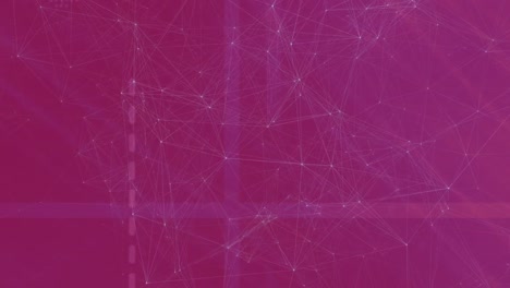 animation of network of connections moving against pink background