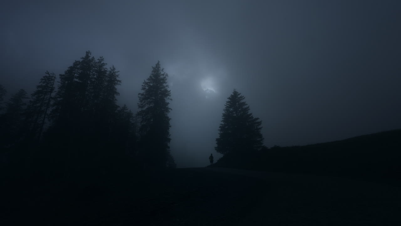 Mysterious Foggy Night Hike