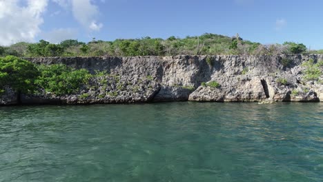 Aerial-view-of-coral-rocks-shore-drone-shot-above-ocean-cactus-and-plants