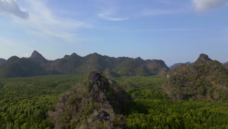 Manglares-Río-Colinas-Malasia-Langkawi