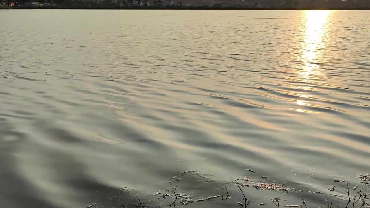 Reflejo de atardecer dorado en la superficie de un lago en calma