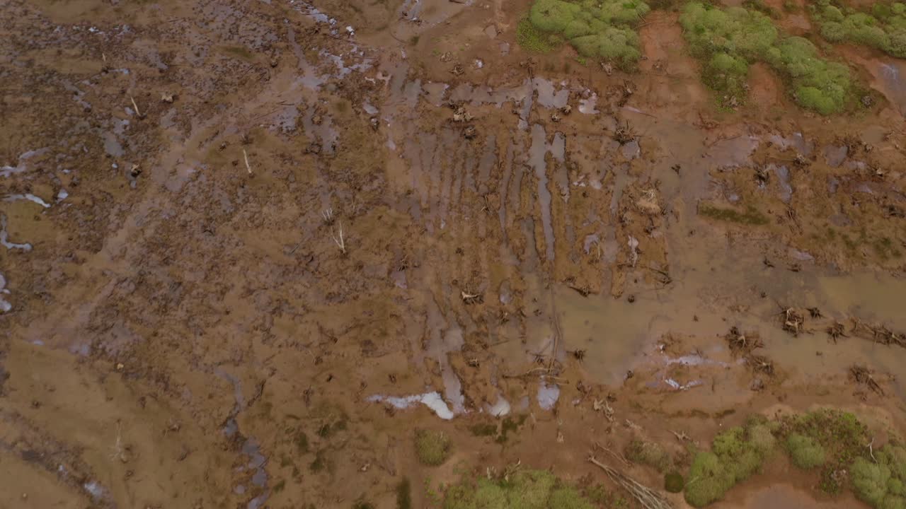 vuelo rápido desde arriba de la reserva de la biosfera española