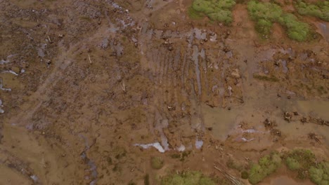 fast aerial topdown of spanish biosphere reserve