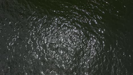 fondo de superficie de aguas tranquilas, loopable, vista aérea