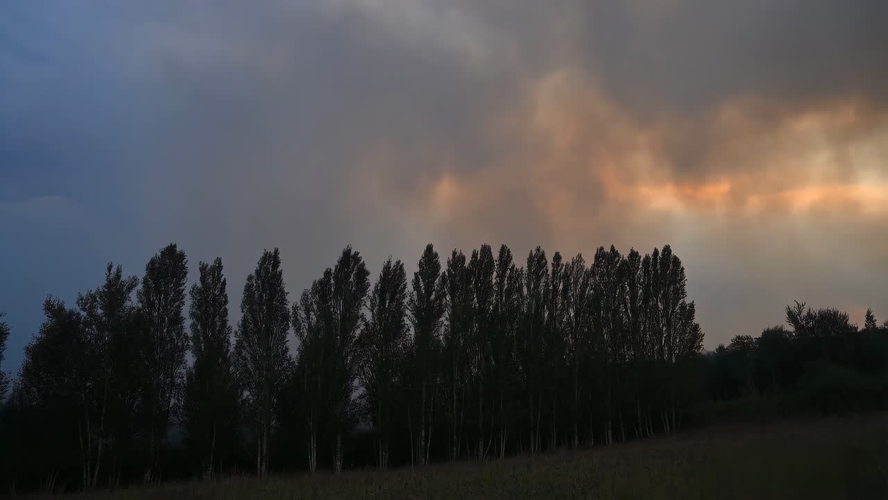 Silhouetted Trees Against a Dramatic Sky