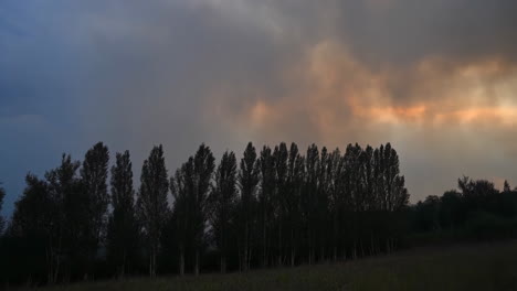 silhouetted trees against a dramatic sky