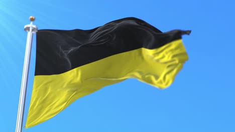 flag of the city of namur, in the province of namur, wallonia. belgium