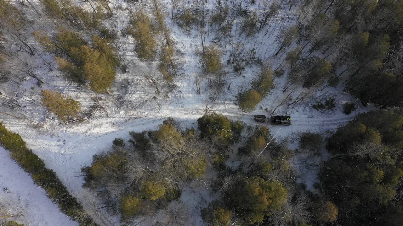 trineo tirado por caballos atravesando la sobrecarga del bosque