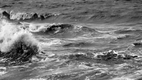 olas rompiendo en escala de grises a cámara lenta