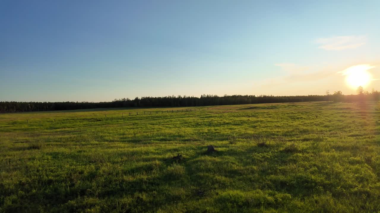 Witness the enchanting beauty of a Yakutian evening as the sun sets over expansive green fields, painting the sky with warm hues.