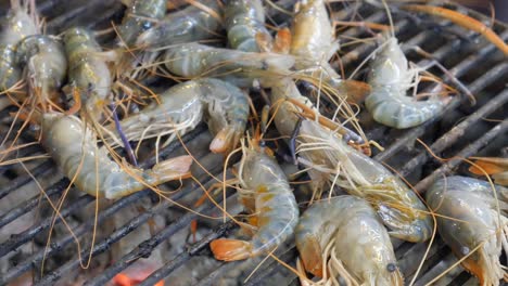 grill cooking river prawns on hot charcoal