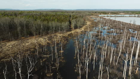 Punto-De-Eliminación-Del-área-Silvestre,-Blackwell,-Arkansas,-Con-árboles-Muertos-Y-Agua,-Vista-Aérea.