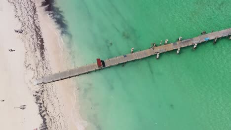 aerial view of tropical pier and beach