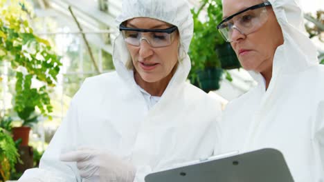 female scientists having discussion on plant