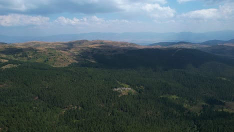 tranquil mountain retreat: endless pine forest, cloudy skies, and the perfect setting for outdoor recreation and relaxation
