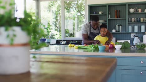 African-american-father-and-son-in-kitchen-wearing-aprons-and-preparing-dinner-together