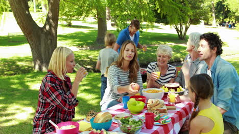 Family-having-picnic-in-the-park