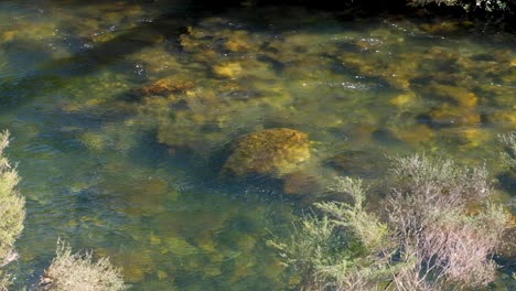 Crystal-clear-flowing-water-of-the-Ohinemuri-River-within-Karangahake-Gorge-in-North-Island-of-New-Zealand-Aotearoa